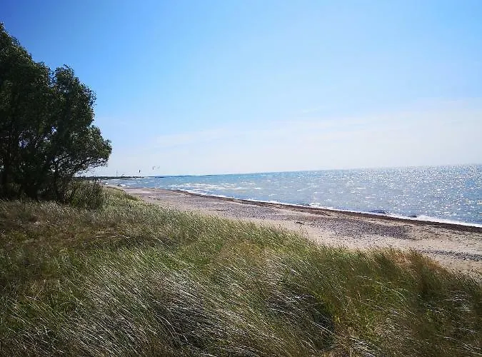 El Privato パランガ